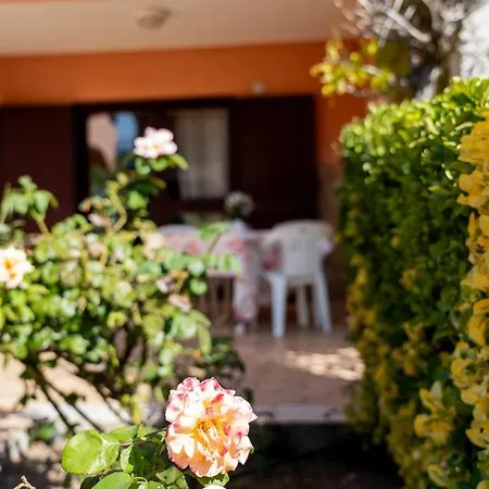 Sardegnadream San Teodoro (Sardinia)